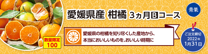 愛媛県産 柑橘B 3ヵ月コース