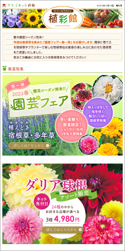 商品画像が掲載されたメールマガジン