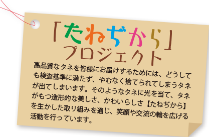 ˂vWFNg
