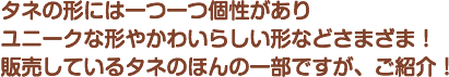 ^ľ`ɂ͈胆j[NȌ`₩킢炵`Ȃǂ܂܁I̔Ă^l̂ق̈ꕔłAЉI