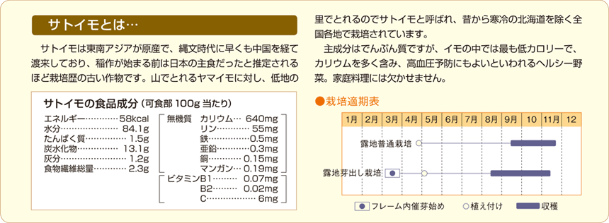 サトイモ特集 タキイネット通販