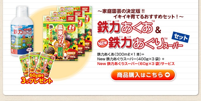 S͂NewS͂X[p[