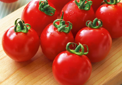 高糖度トマト 作りに挑戦 タキイネット通販