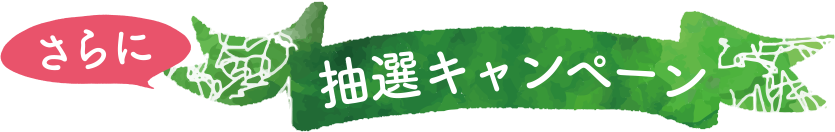 さらに抽選キャンペーン