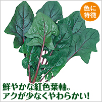 �����T���_������