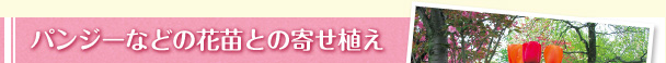 pW[Ȃǂ̉ԕcƂ̊񂹐A