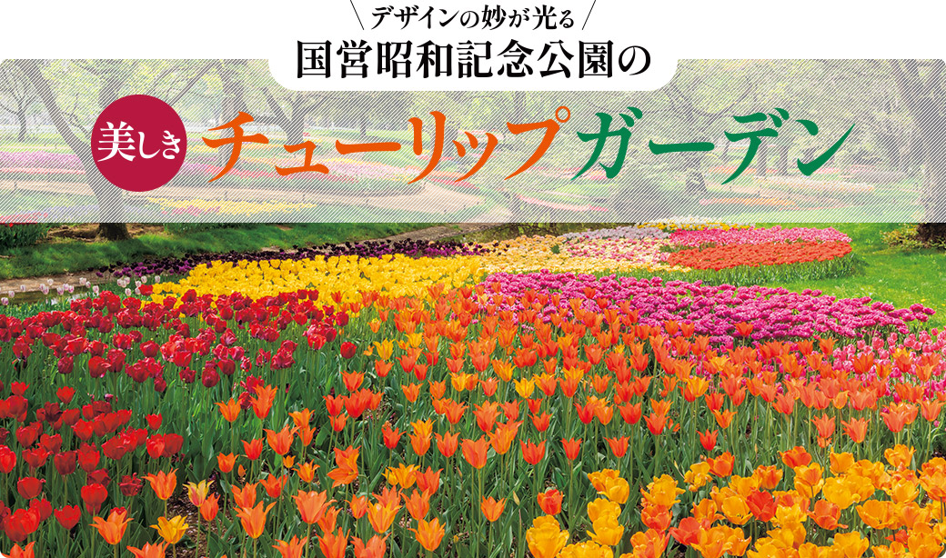 野趣あふれる原種系球根