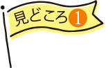 見どころ1