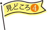 見どころ4
