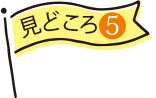 見どころ5