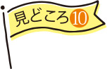見どころ10
