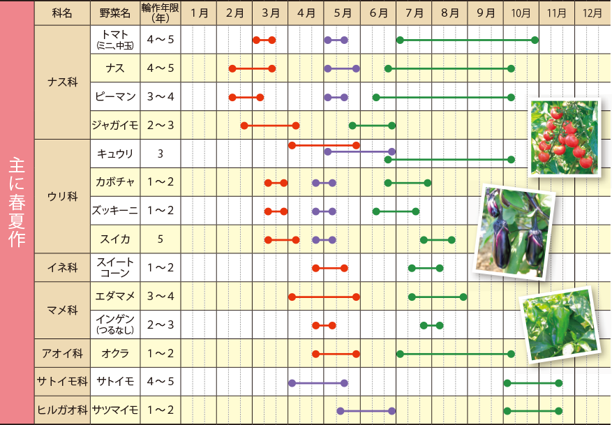 ジレンマ 変数 背が高い 野菜 栽培 カレンダー エクセル My Turningpoint Jp
