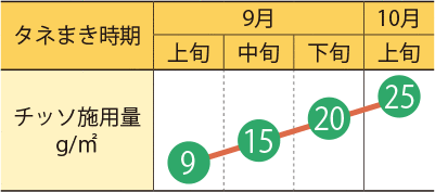秋冬どりダイコンのタネまき時期とチッソ施用量の目安