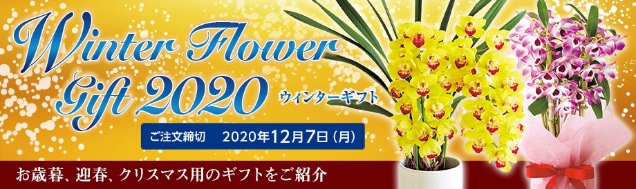 winter Flower Gift2020