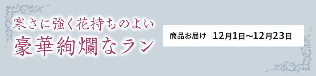 豪華絢爛なラン