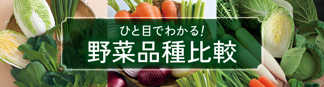 野菜・特性比較表特集
