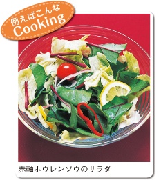 �Ⴆ�͂����Cooking