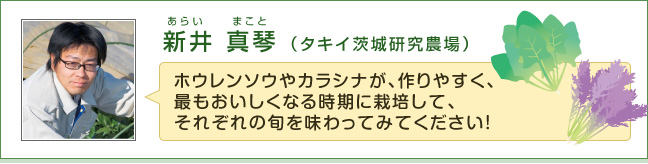 �V�� �^�� �i�^�L�C��錤���_��j�z�E�����\�E��J���V�i���A���₷���A�ł����������Ȃ鎞���ɍ͔|���āA���ꂼ��̏{�𖡂���Ă݂Ă��������I