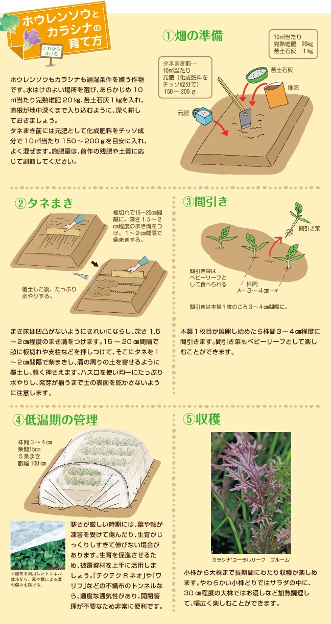 �z�E�����\�E�ƃJ���V�i�̈�ĕ�