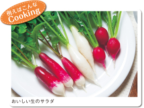 �Ⴆ�͂����Cooking