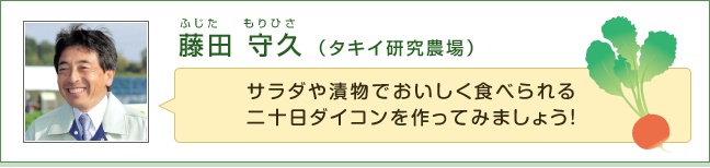 ���c ��v �i�^�L�C�����_��j�T���_��Е��ł��������H�ׂ����\���_�C�R��������Ă݂܂��傤�I