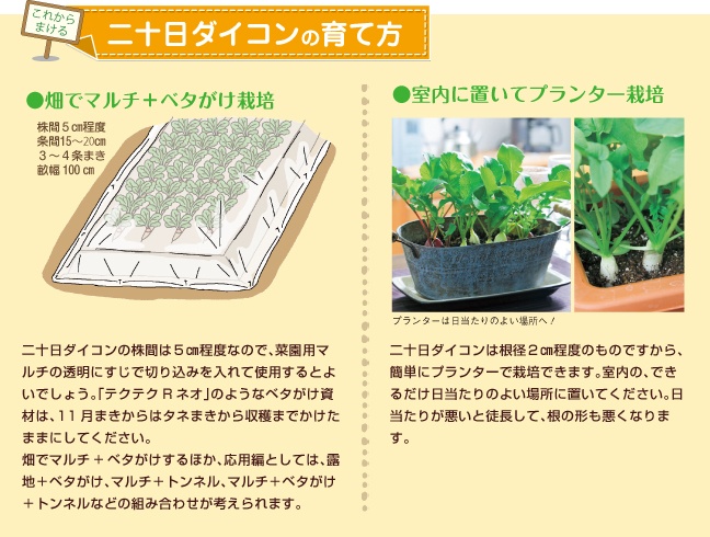 ��\���_�C�R���̈�ĕ�