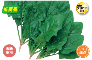 ���̓I�[���C