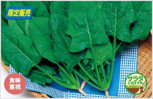 �O���[���}�~�[