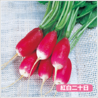 �t�����`�E�u���b�N�t�@�X�g