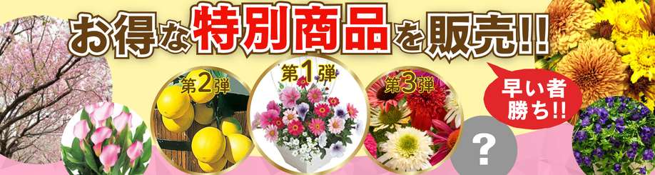 感謝祭第1弾