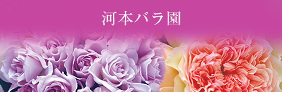 河本バラ園