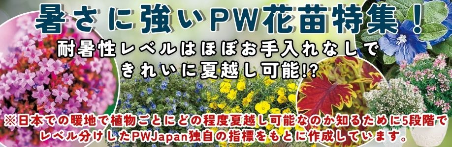暑さに強いPW