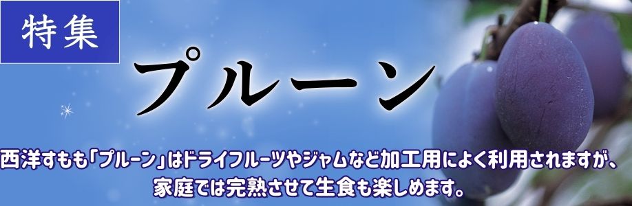 プルーン