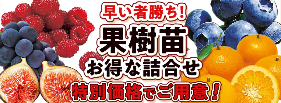 ■バラエティセール【果樹】