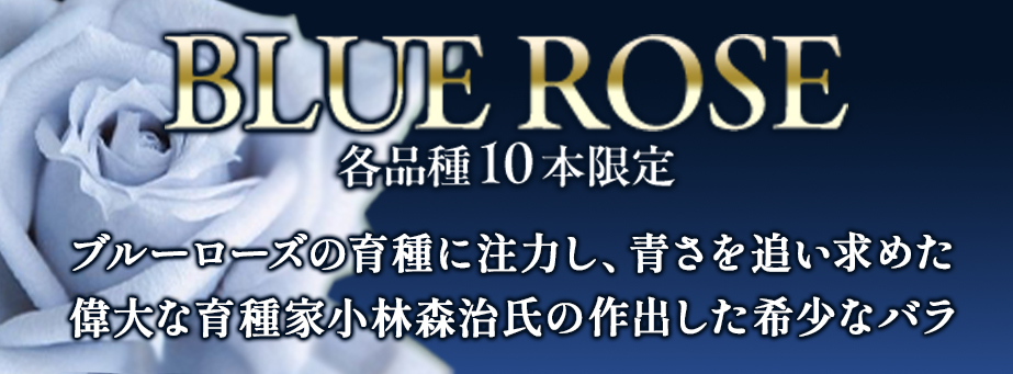 ■【各10本限定】ブルーローズ