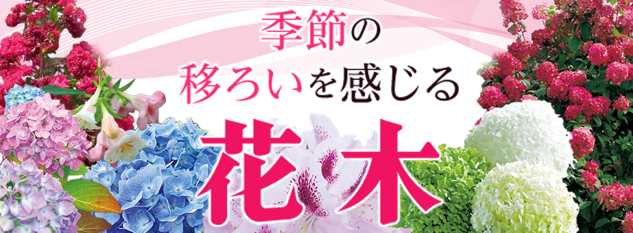 ■【スプリングコレクション】季節の移ろいを感じさせてくれる花木