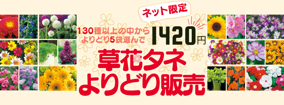 草花アソート販売