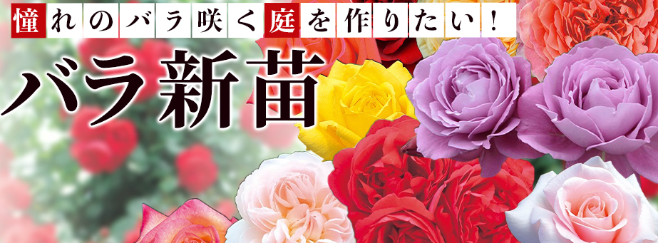 バラメーカー別お手伝い販売