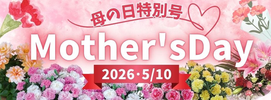 母の日ギフト