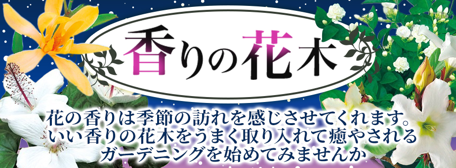 香りの花木