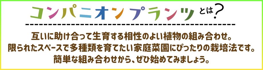 コンパニオンプランツ
