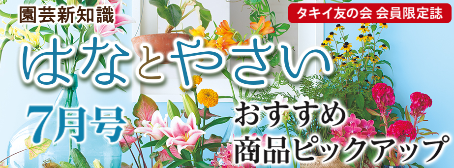 ■月刊誌の特集