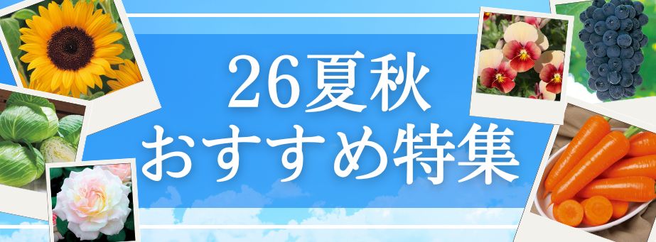 特集一覧