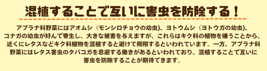 説明1