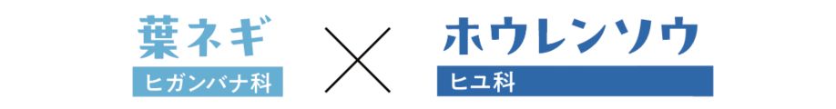 葉ねぎホウレンソウ