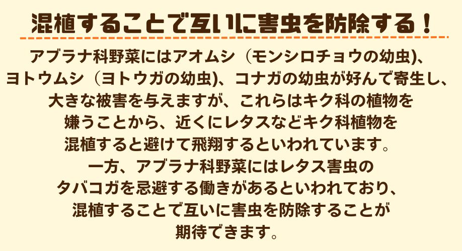 説明1