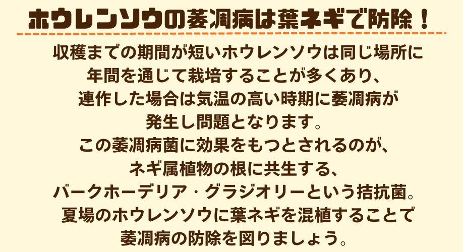 説明2