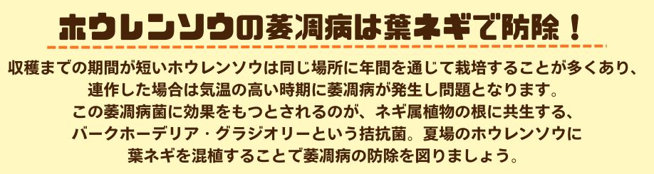 説明2