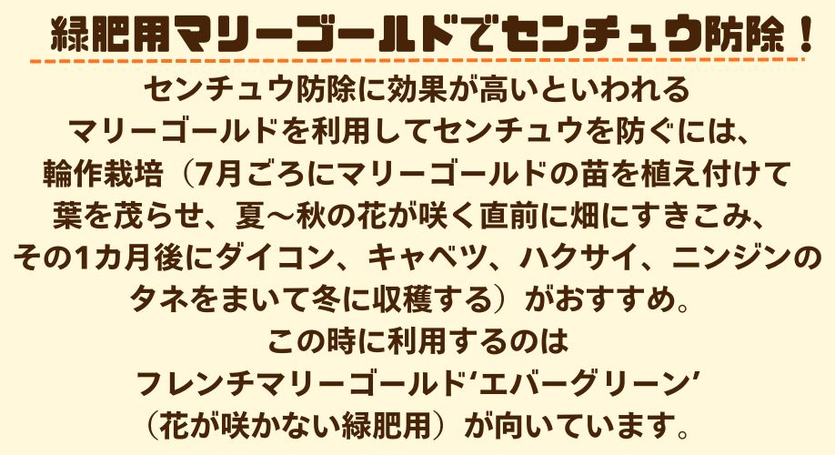 説明3