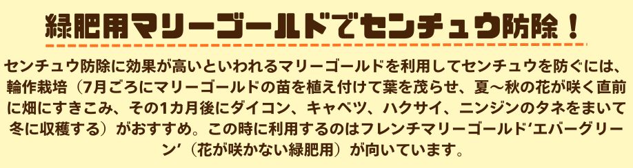説明3